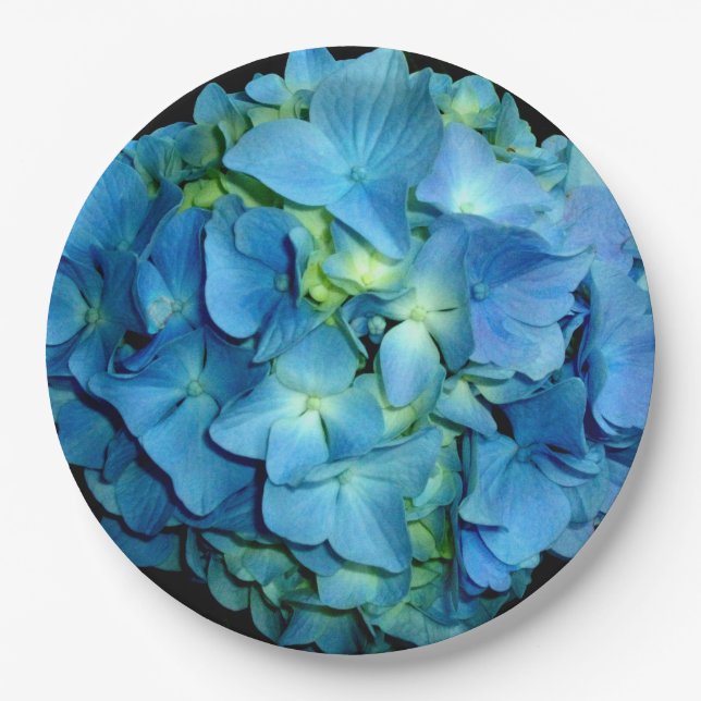 Blue Hydrangeas | Blaues Foto Pappteller (Vorderseite)