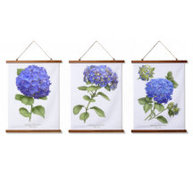 Blue Hydrangeas Blume Botanische Kunst Set 3