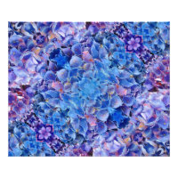 Blue Hydrangeas Blume Foto Print
