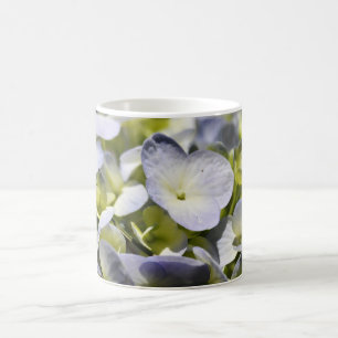Blue Hydrangeas-Blume Tasse