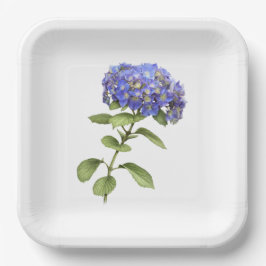 Blue Hydrangeas Botanische Art Paper Teller