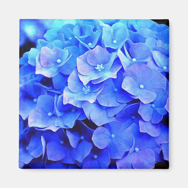 Blue Hydrangeas Kühlschrank Magnet (Vorne)