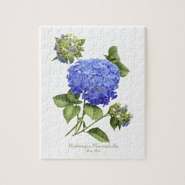 Blue Hydrangeas Puzzle (Vertikal)