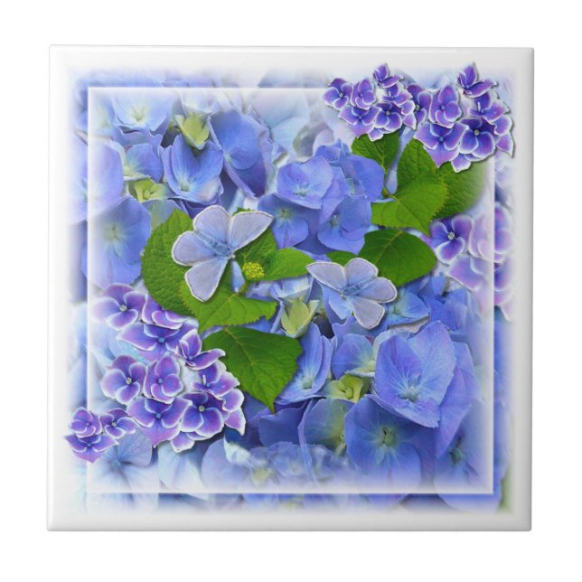 Blue Hydrangeas und Schmetterlinge Tile Fliese (Vorderseite)