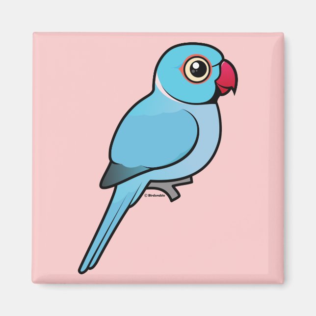 Blue Indian Ringneck Magnet (Vorne)