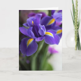 Blue Iris Blume Bouquet Karte