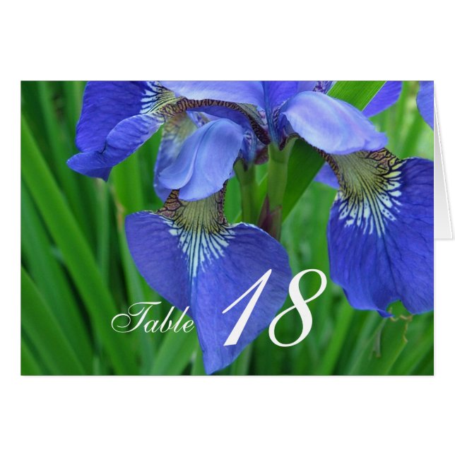 Blue Iris Blume Dinner Tischnummer Card. (Vorderseite (Horizontal))