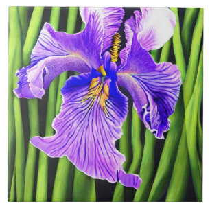 Blue Iris Decorative Keramik Tiles Fliese