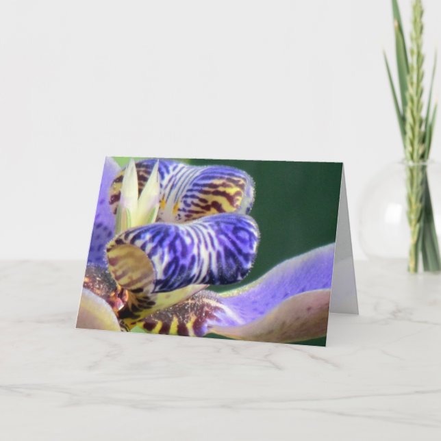 Blue Iris floral Geburtstagskarte Karte (Vorderseite)