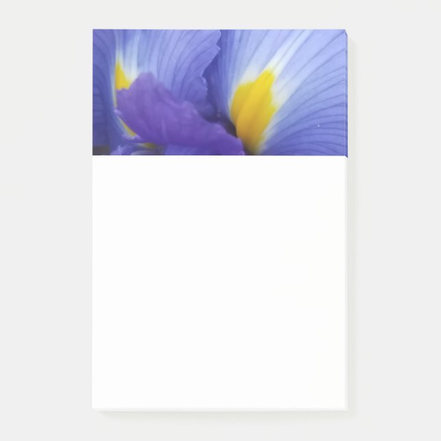 Blue Iris Flower 4x6 Post-It Notes Klebezettel (Vorderseite)