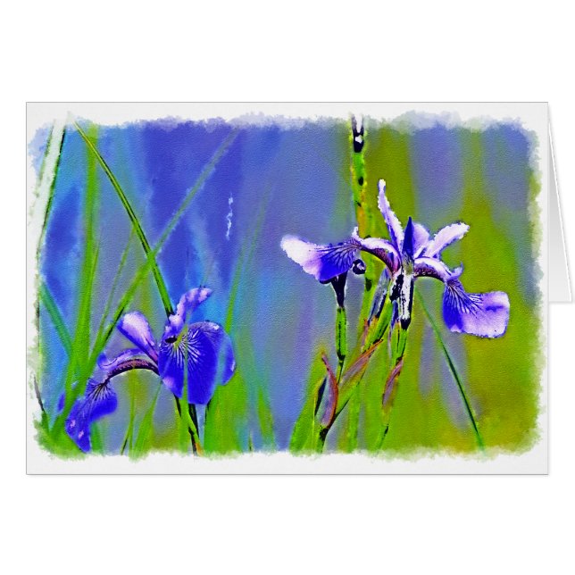 Blue Iris Garden Blume Florenz Designer Kunst (Vorderseite (Horizontal))