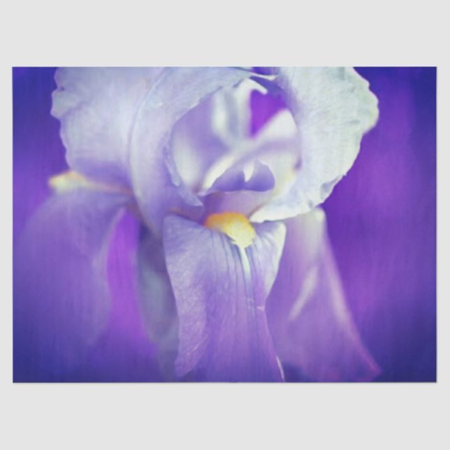 Blue Iris Geschenkpapier Seidenpapier (Vorderseite)