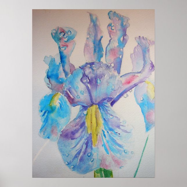 Blue Iris Irises Blumenposter Blume Poster (Vorne)