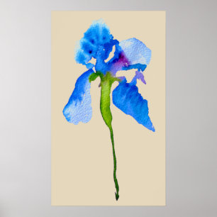 Blue Iris moderne Aquarellkunst Poster