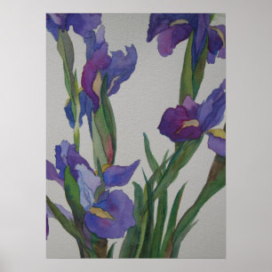 Blue Iris Poster