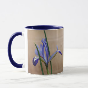Blue Iris Reticulata Tasse