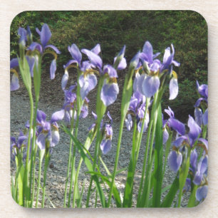 Blue Iris Untersetzer