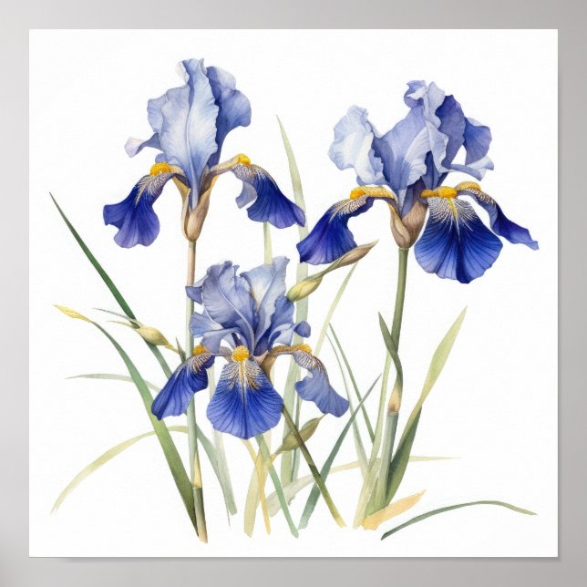 Blue Irische Blume Art Print Poster (Vorne)