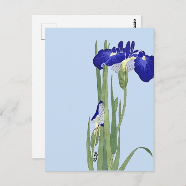 Blue Irises von Ohara Koson Postkarte (Vorne/Hinten)