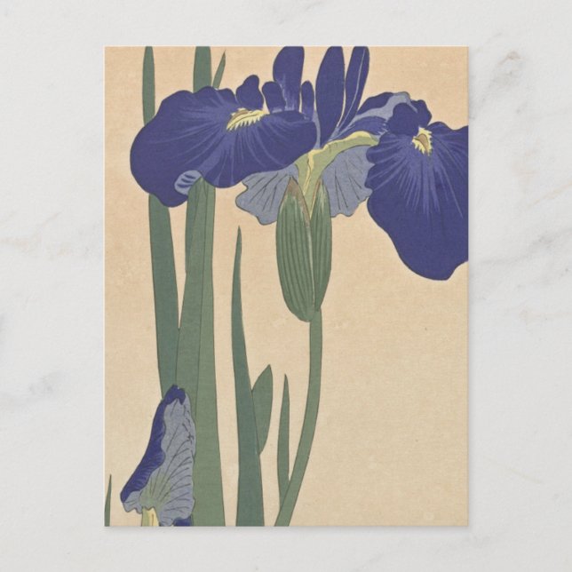 Blue Irises von Ohara Koson Postkarte (Vorderseite)