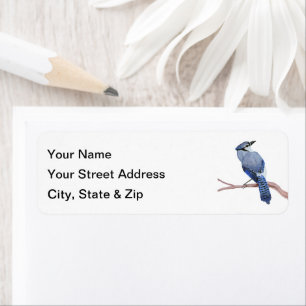 Blue Jay
