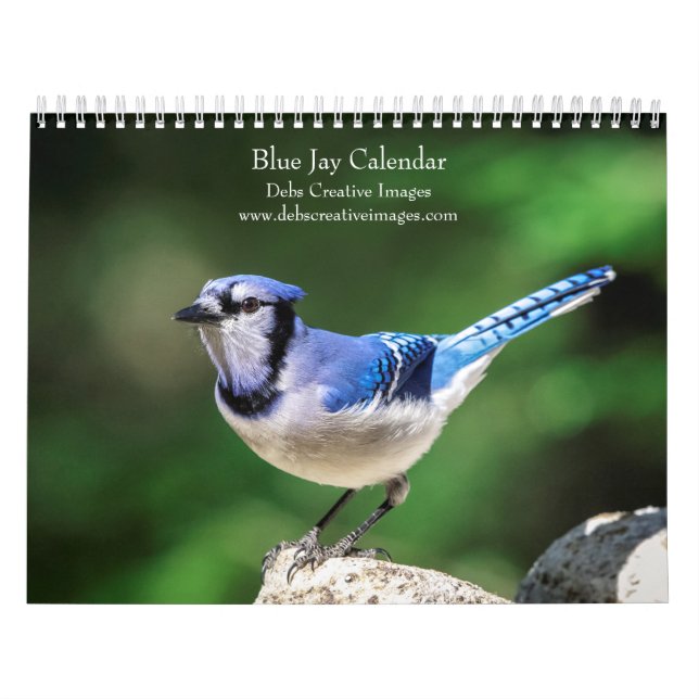 Blue Jay 2026 Kalender (Titelbild)
