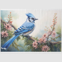 Blue Jay 2 Decoupage