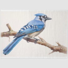 Blue Jay 3 Decoupage