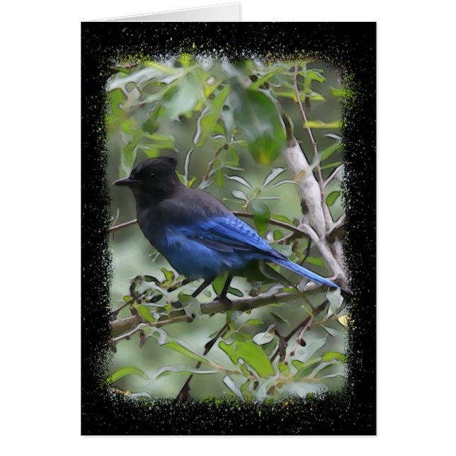 Blue Jay - 5" x 7" Art Card (Vorne)