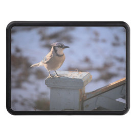 Blue Jay Abschlepphaken Cover