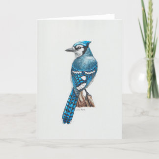 Blue Jay Art Card Dankeskarte