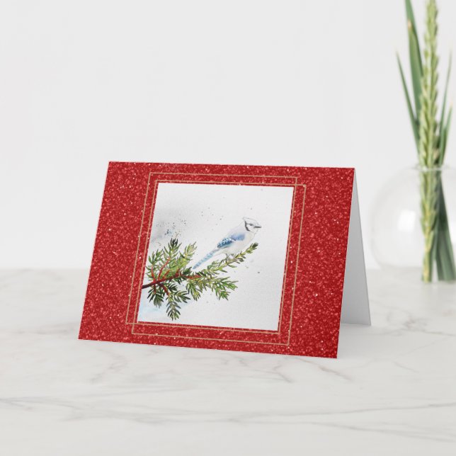 Blue Jay auf einer Kiefernweide Weihnachten Karte (Vorderseite)