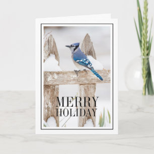 Blue Jay auf Snowy Fence Feiertagskarte