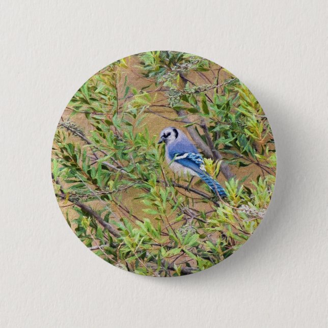 Blue Jay auf Wax Myrtle Button (Vorderseite)