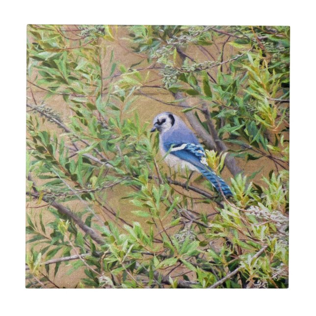 Blue Jay auf Wax Myrtle Fliese (Vorderseite)