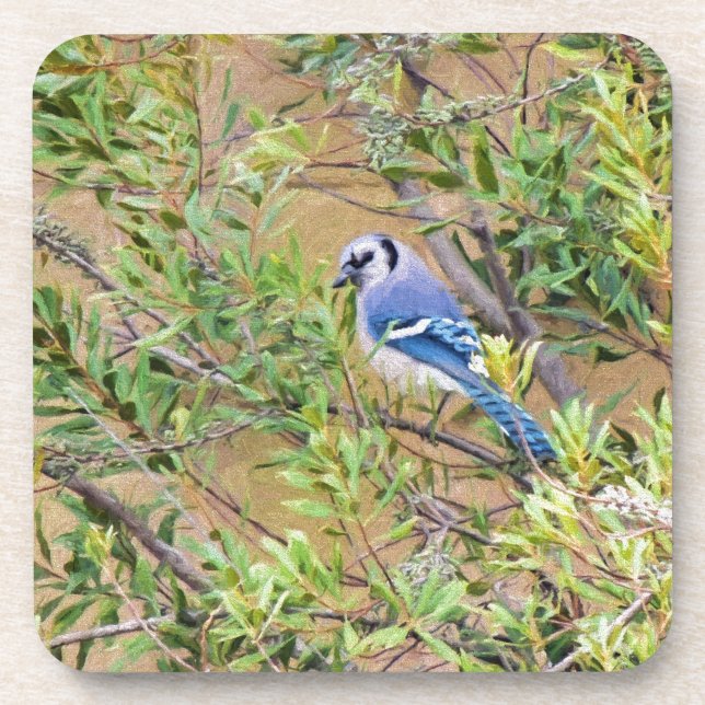 Blue Jay auf Wax Myrtle Getränkeuntersetzer (Vorderseite)