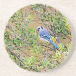 Blue Jay auf Wax Myrtle Getränkeuntersetzer