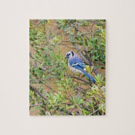 Blue Jay auf Wax Myrtle Puzzle