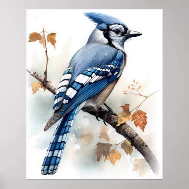 Blue Jay Bird Art Print Poster (Vorne)