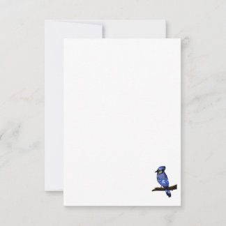Blue Jay Bird Dankeskarte