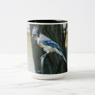 Blue Jay Bird Fotografy 15oz Kaffee Tasse
