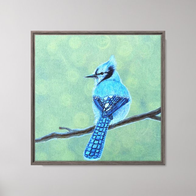 Blue Jay Bird Leinwanddruck (Vorderseite)
