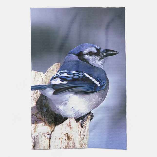 Blue Jay Bird Liebhaber Handtuch (Vertikal)