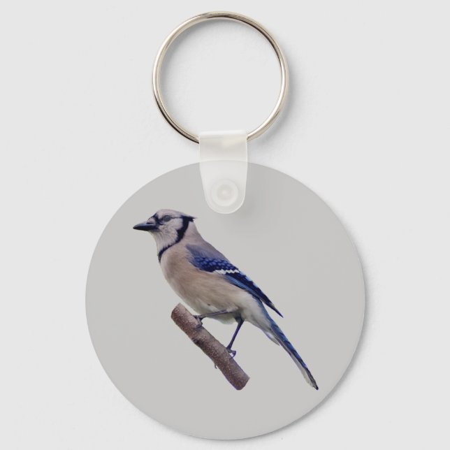 Blue Jay Bird Schlüsselanhänger (Vorderseite)