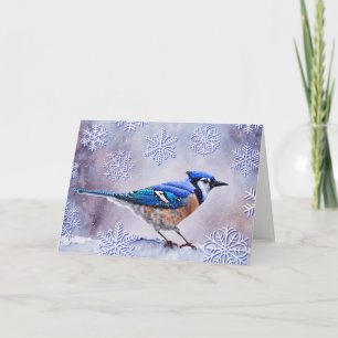 Blue Jay Bird Snow Winter Weihnachtskarte Karte