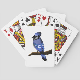 Blue Jay Bird Spielkarten