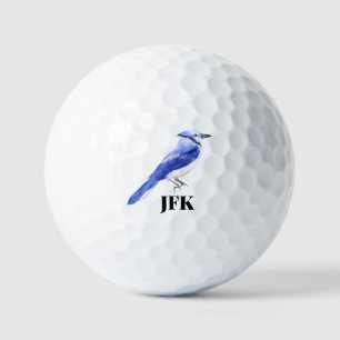 Blue Jay bird Vogelbeobachtung wild lebende Tiere Golfball