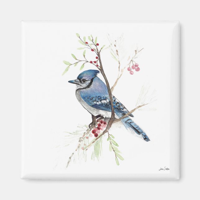 Blue Jay Bird Watercolor Magnet (Vorne)