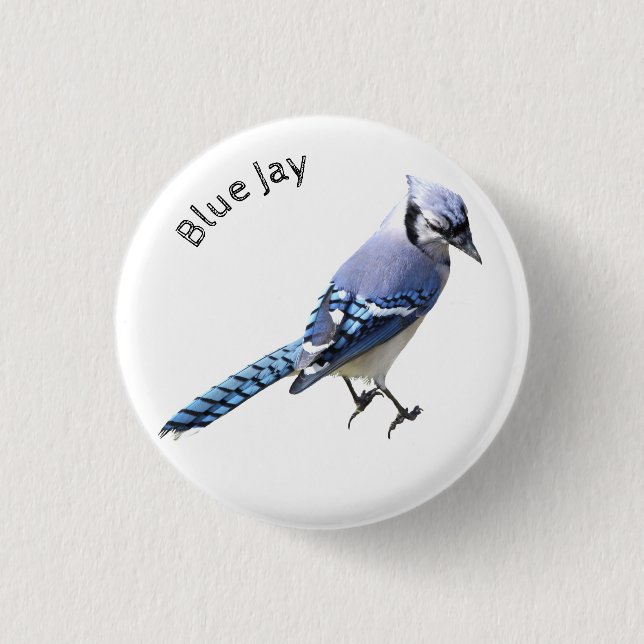 Blue Jay Button (Vorderseite)
