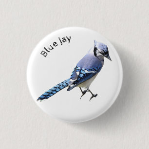 Blue Jay Button